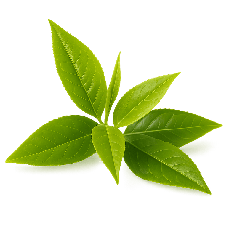 L-Theanine