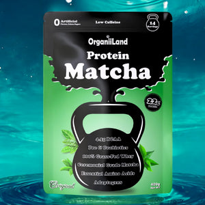 High Protein Matcha