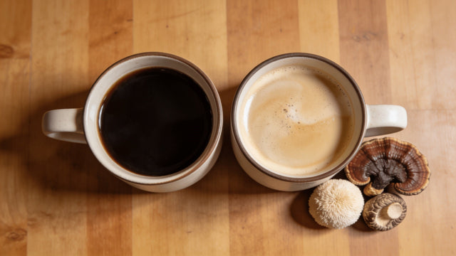 Mushroom Coffee vs Regular Coffee: Which Is Better?
