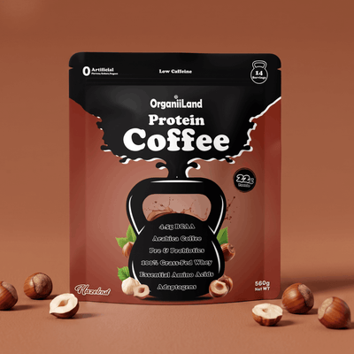 Hazelnut Protein Coffee