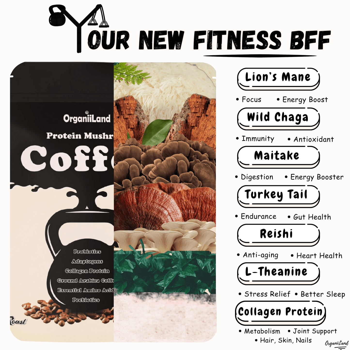 Mushrooms Coffee benefits