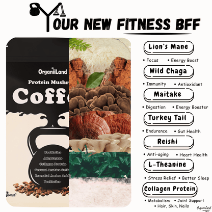 Mushrooms Coffee benefits