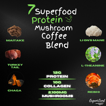 OrganiiLand Mushroom Coffee Benefits